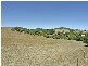43 Michelmore Drive, Meadows SA 5201