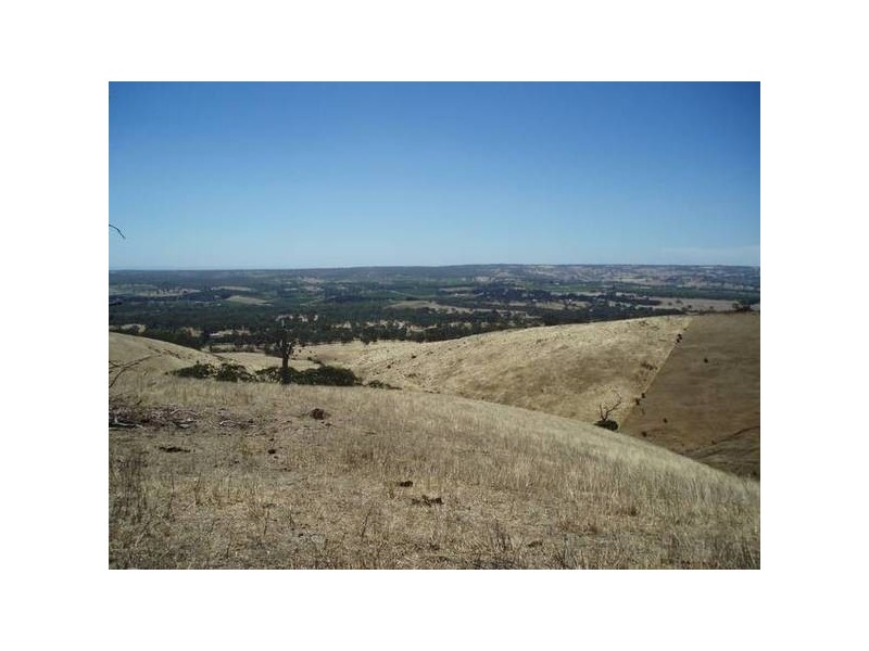 2 Toops Hill Road, Mclaren Flat SA 5171