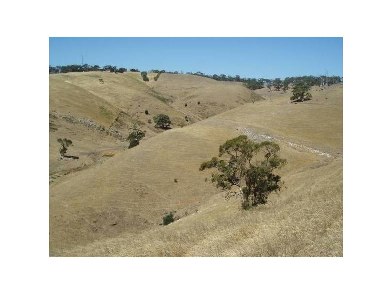 2 Toops Hill Road, Mclaren Flat SA 5171