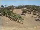 2 Toops Hill Road, Mclaren Flat SA 5171