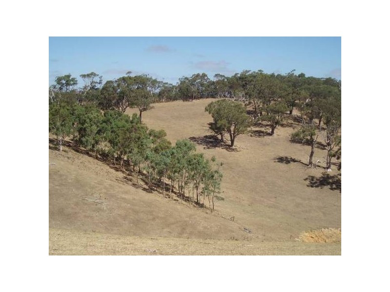 2 Toops Hill Road, Mclaren Flat SA 5171