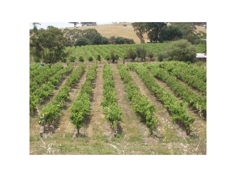 1 Old Bull Creek Rd, Meadows SA 5201