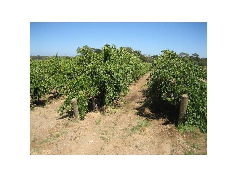 51 Sand Road, Mclaren Flat SA 5171