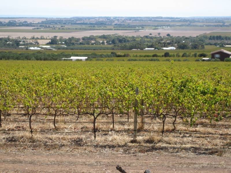 Lot 338,  Rogers Road, Sellicks Hill SA 5174