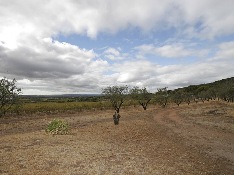 Lot 338,  Rogers Road, Sellicks Hill SA 5174