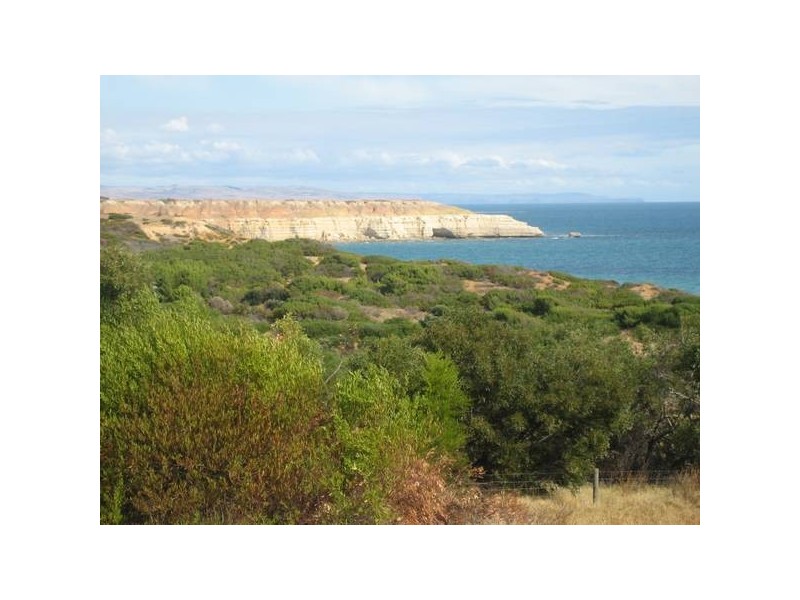 23 Oleander Road, Maslin Beach SA 5170