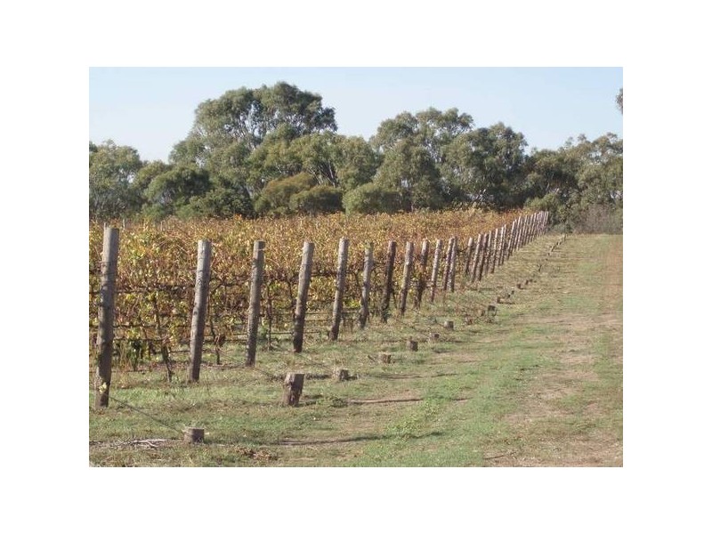 Almond Grove Road, Willunga SA 5172