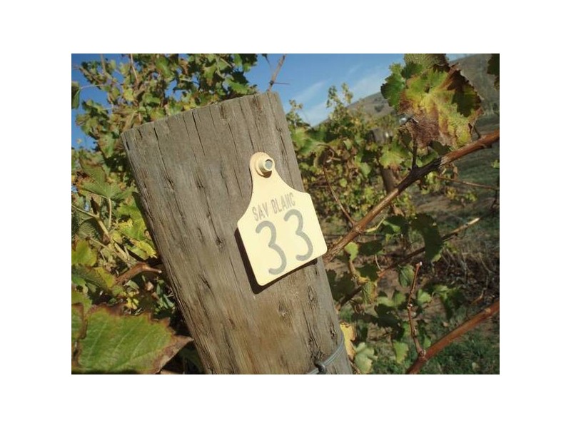 Almond Grove Road, Willunga SA 5172