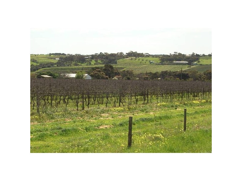 Lot 2 Martins Road, Mclaren Vale SA 5171