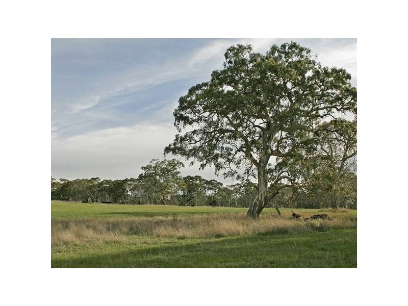 27 Peters Creek Road, Kuitpo SA 5172
