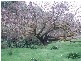 1 Old Bull Creek Road, Meadows SA 5201