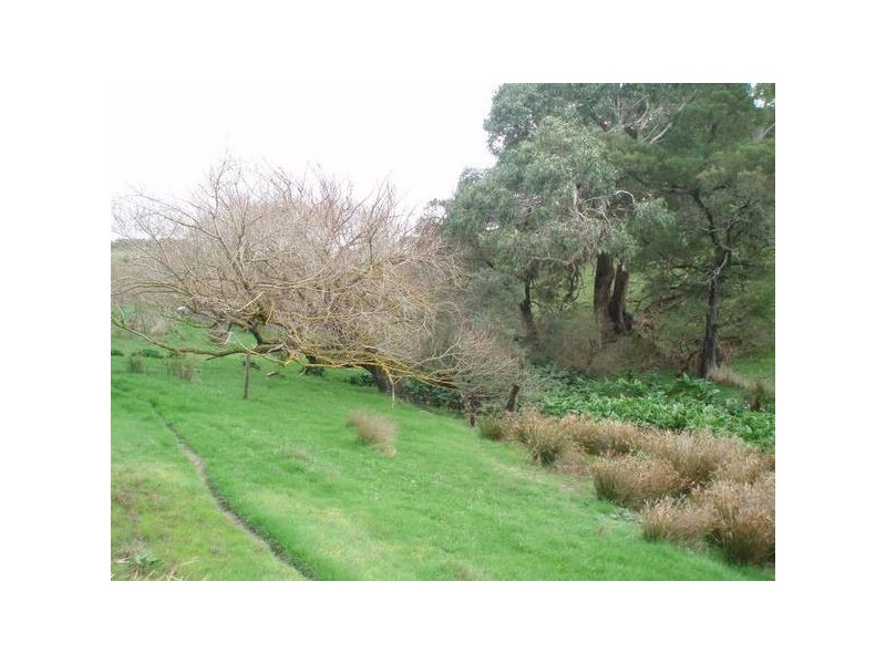 1 Old Bull Creek Road, Meadows SA 5201