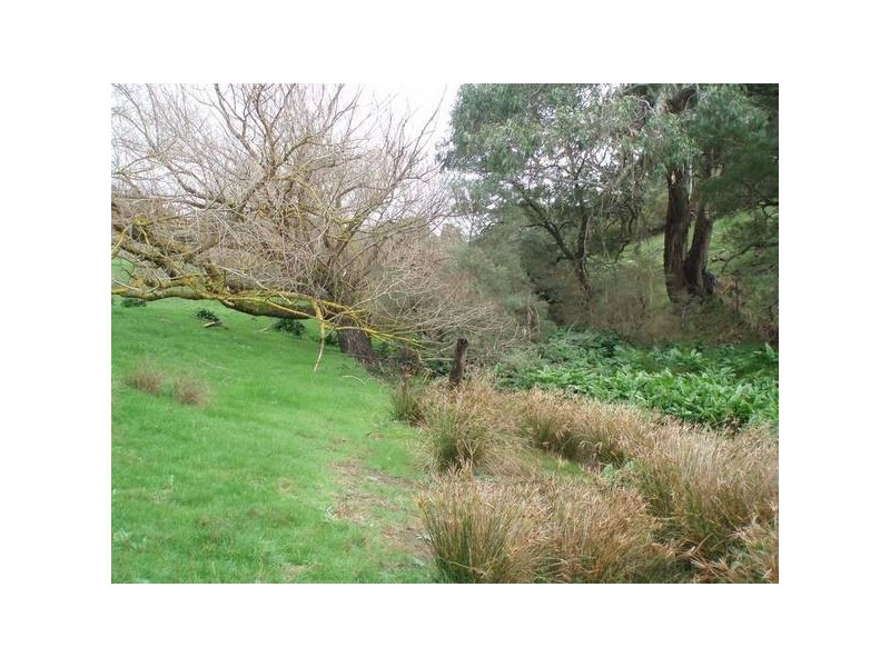 1 Old Bull Creek Road, Meadows SA 5201