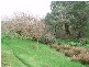 1 Old Bull Creek Rd, Meadows SA 5201