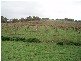 1 Old Bull Creek Rd, Meadows SA 5201
