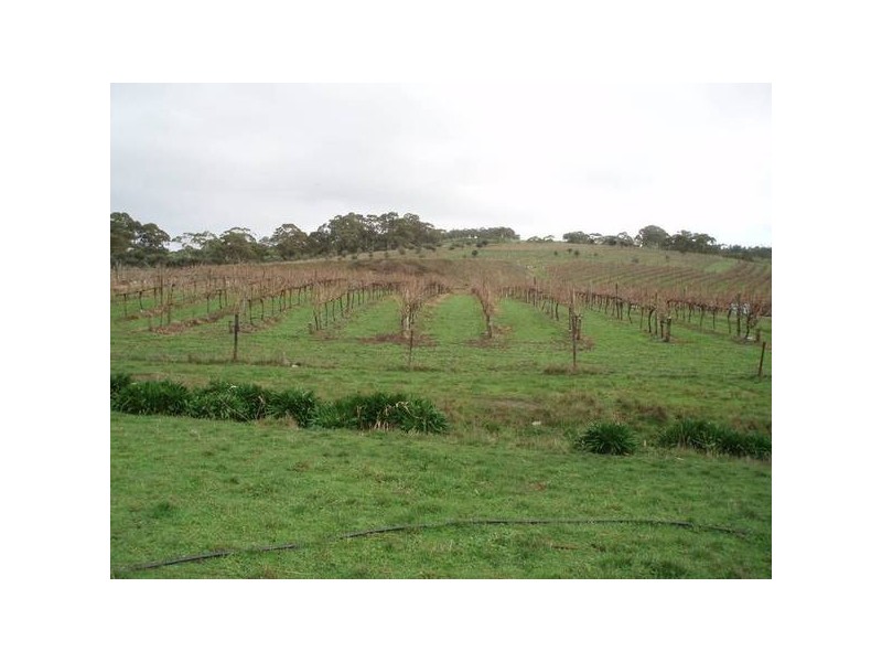 1 Old Bull Creek Rd, Meadows SA 5201