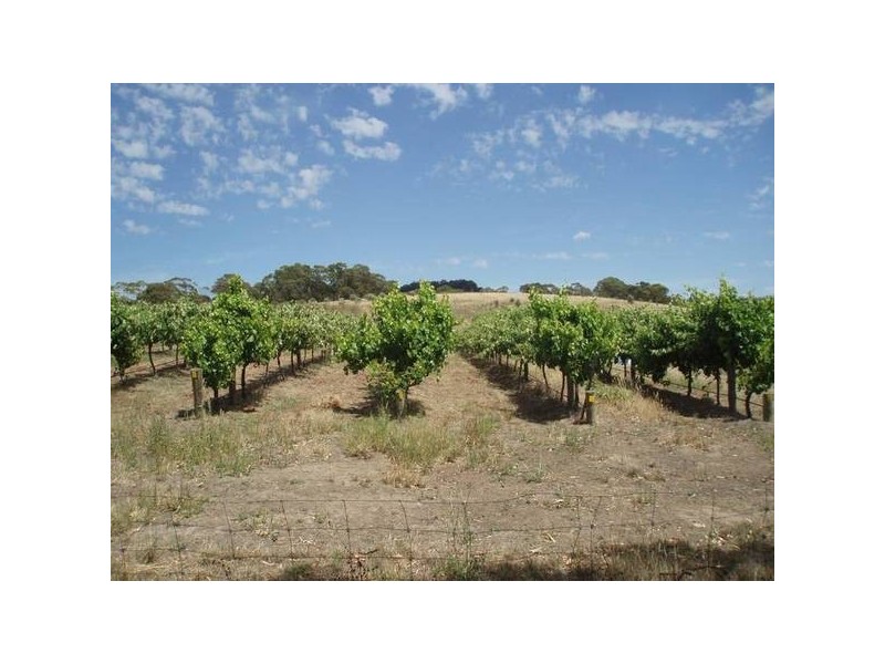 1 Old Bull Creek Rd, Meadows SA 5201