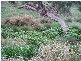 1 Old Bull Creek Rd, Meadows SA 5201