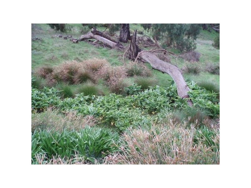 1 Old Bull Creek Rd, Meadows SA 5201