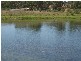 1 Old Bull Creek Rd, Meadows SA 5201
