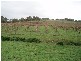 1 Old Bull Creek, Meadows SA 5201