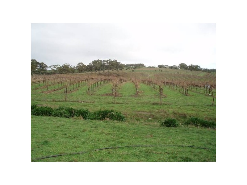 1 Old Bull Creek, Meadows SA 5201