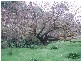 1 Old Bull Creek, Meadows SA 5201