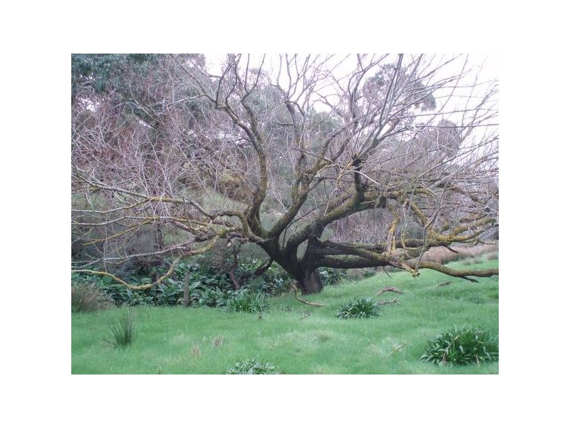 1 Old Bull Creek, Meadows SA 5201