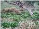 1 Old Bull Creek, Meadows SA 5201