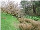 1 Old Bull Creek, Meadows SA 5201