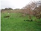 1 Old Bull Creek, Meadows SA 5201