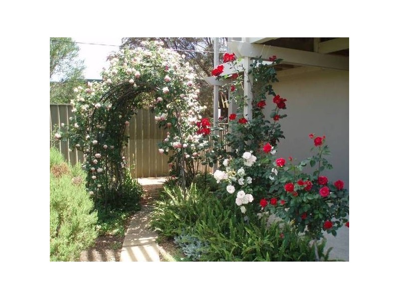 13 Ozone Avenue, Port Willunga SA 5173