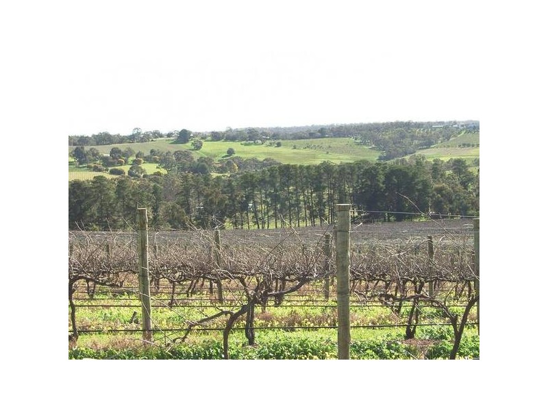 17 Brookman Road, Blewitt Springs SA 5171