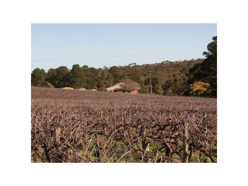 17 Brookman Road, Blewitt Springs SA 5171