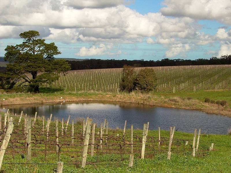 Sec 684 Wickhams Hill Road, Kuitpo SA 5172
