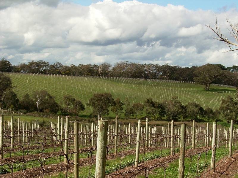 Sec 684 Wickhams Hill Road, Kuitpo SA 5172