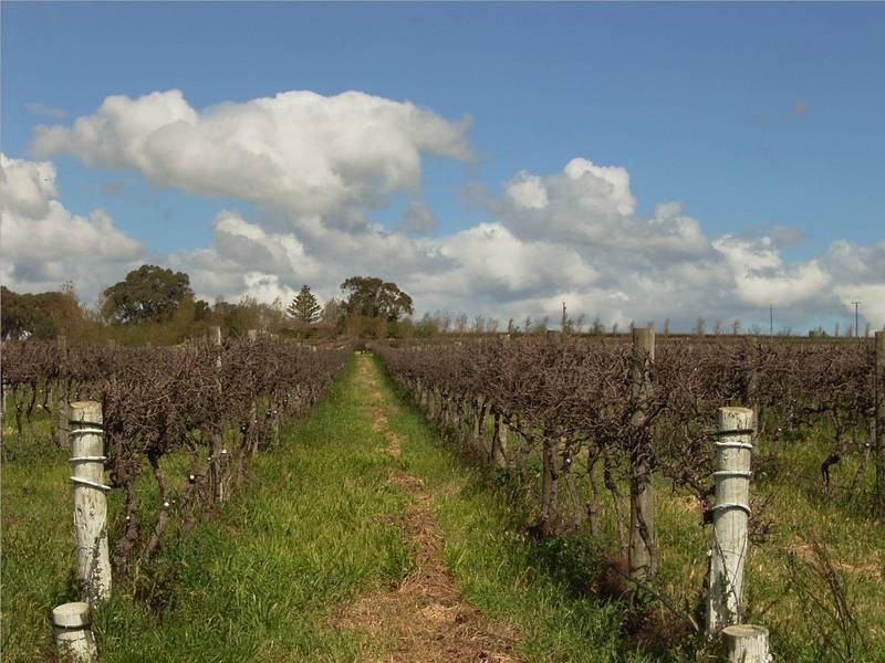 2 Martins Road, Mclaren Vale SA 5171