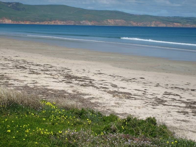 3 Morgan Street, Aldinga Beach SA 5173