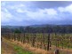 Lot 64 Pearns Lane, Mclaren Flat SA 5171