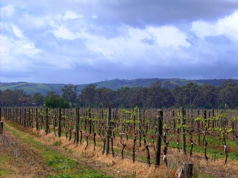 Lot 64 Pearns Lane, Mclaren Flat SA 5171