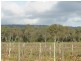 64 Pearns Lane (off Blewitt Springs Rd), Mclaren Flat SA 5171