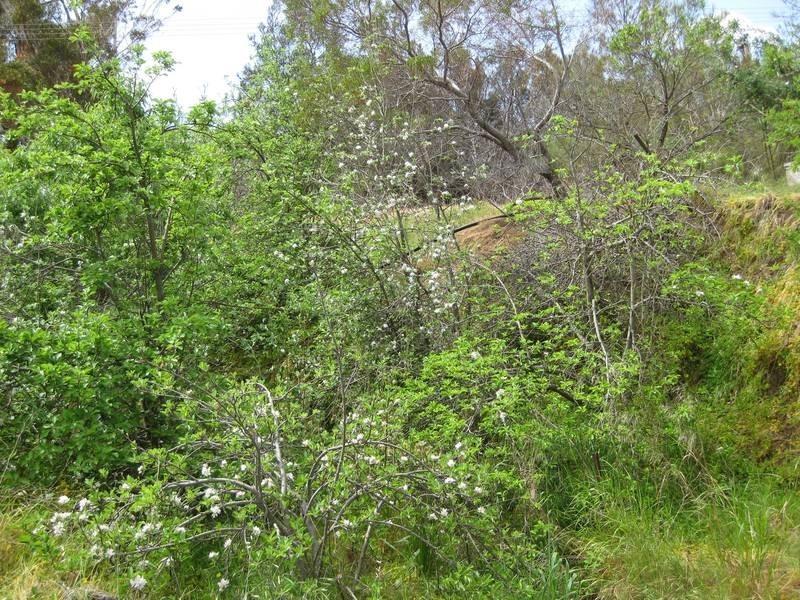 Lot 326 Plains Road, Willunga SA 5172