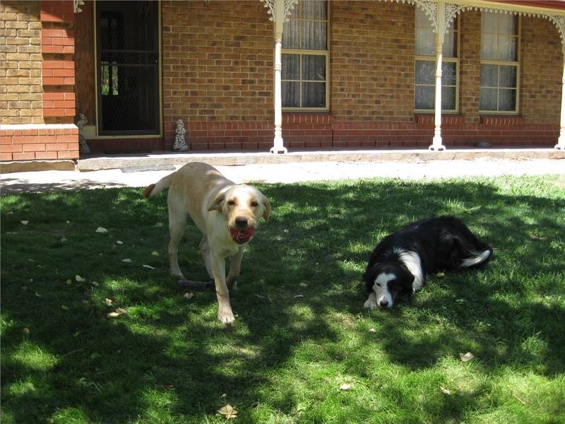 Lot 326 Plains Road, Willunga SA 5172