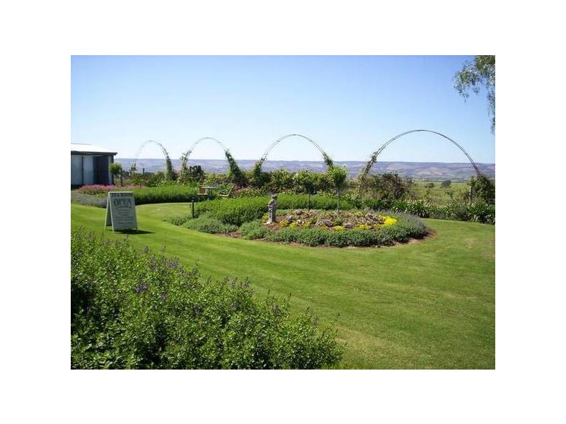 Lot 37 Naroo Tarn, Mclaren Vale SA 5171