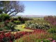 Lot 37 Naroo Tarn, Mclaren Vale SA 5171