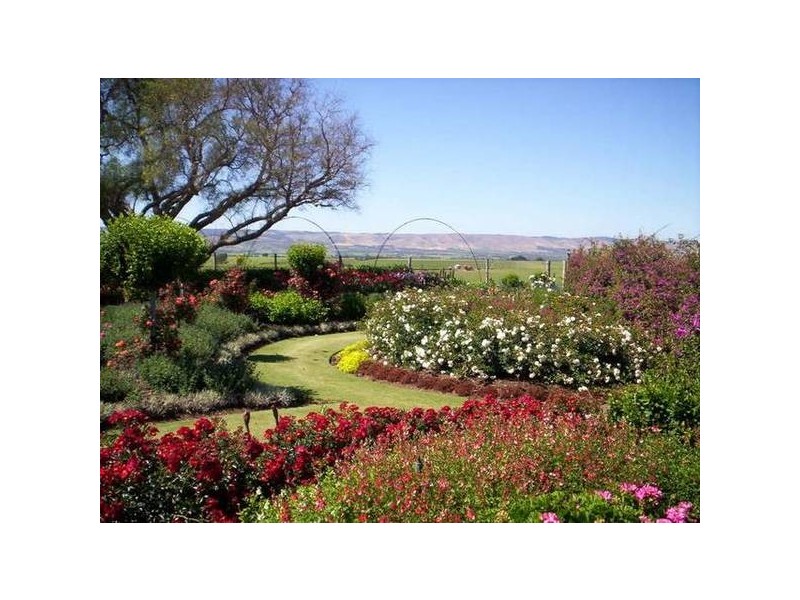 Lot 37 Naroo Tarn, Mclaren Vale SA 5171