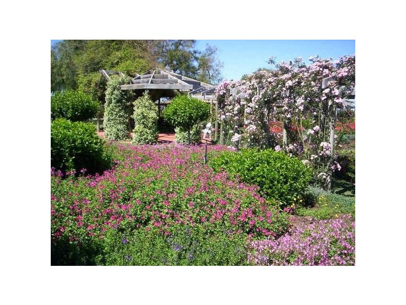 Lot 37 Naroo Tarn, Mclaren Vale SA 5171