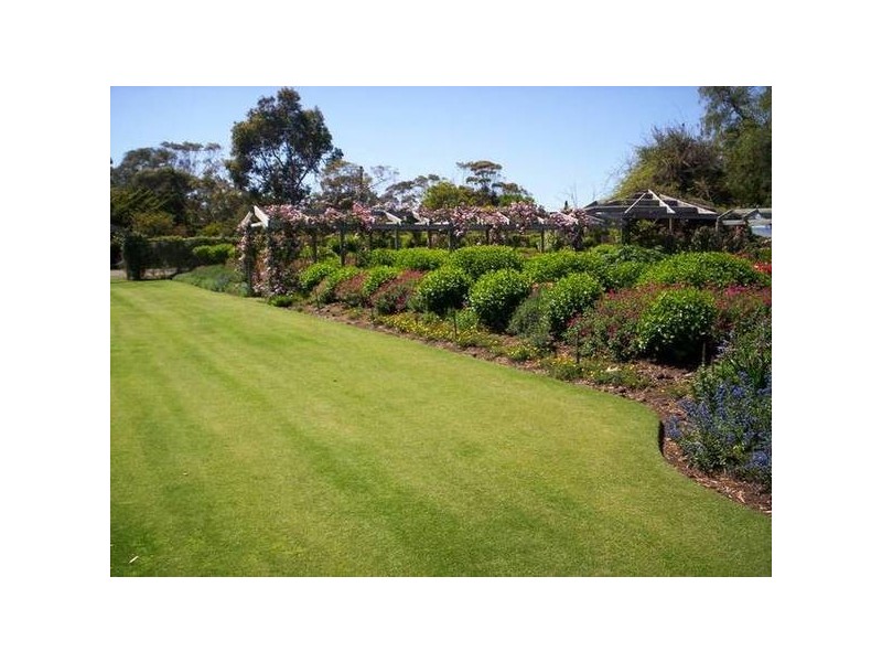 Lot 37 Naroo Tarn, Mclaren Vale SA 5171