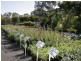 Lot 37 Naroo Tarn, Mclaren Vale SA 5171