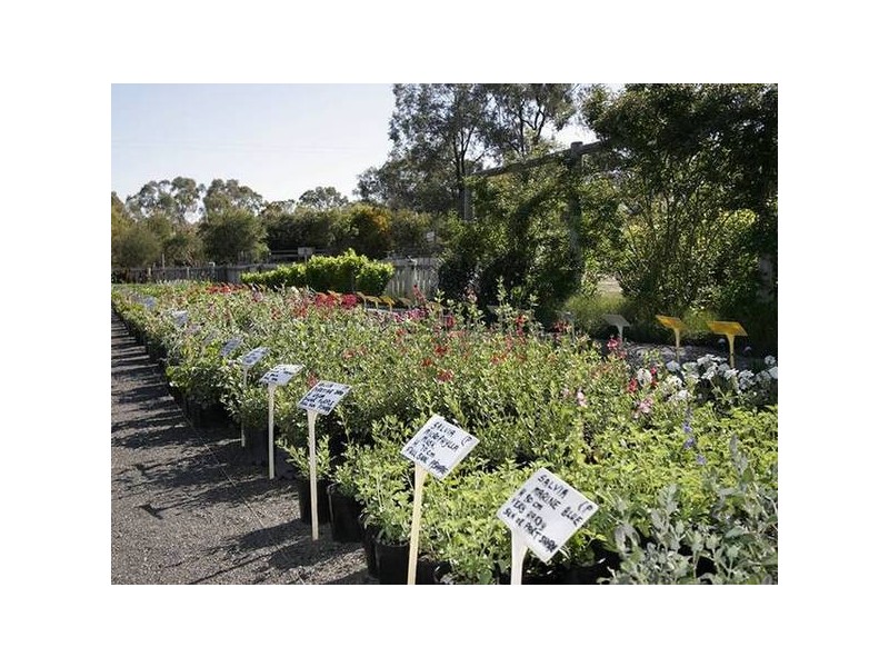 Lot 37 Naroo Tarn, Mclaren Vale SA 5171
